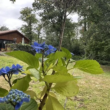 Ma Feriehus *